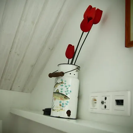 Alpakarium, Hodowla Alpak & Farm stay Stara Korytnica