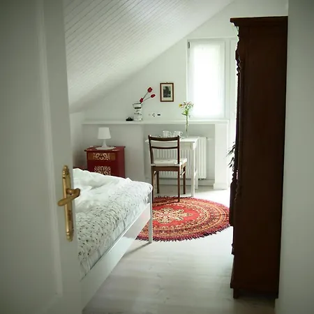 Alpakarium, Hodowla Alpak & Farm stay Stara Korytnica