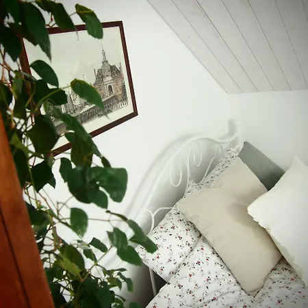 Farm stay Alpakarium, Hodowla Alpak &